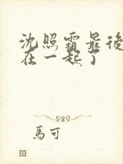 沈照霜最后和谁在一起了