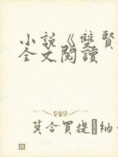 小说《双贤书》全文阅读