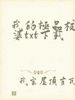 我的极品校花老婆txt下载