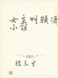 女主叫顾潇潇的小说