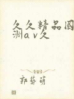 久久精品国产亚洲a v久