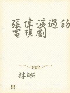 张伟演过的全部电视剧