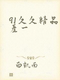 91久久精品国产一