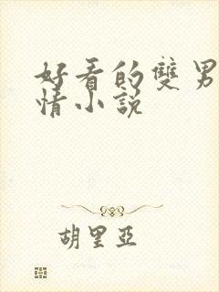 好看的双男主言情小说