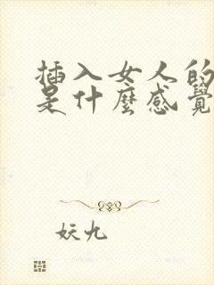 插入女人的阴道是什么感觉?