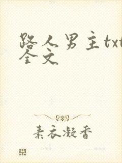 路人男主txt全文