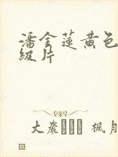 潘金莲黄色,一级片