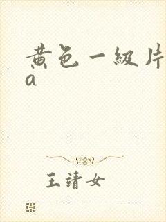黄色一级片aaa