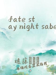 fate stay night saber