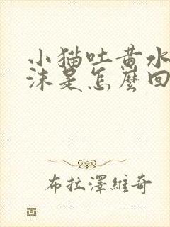 小猫吐黄水带泡沫是怎么回事