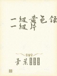 一级黄色录像片一级片