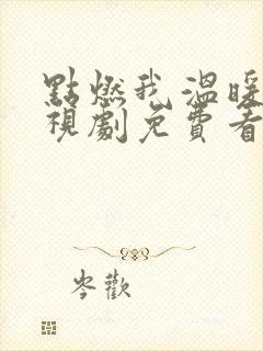 点燃我温暖你电视剧免费看完整版