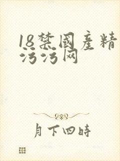 18禁国产精品污污网
