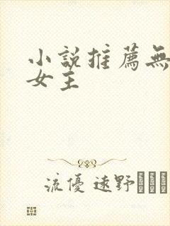小说推荐无限流女主
