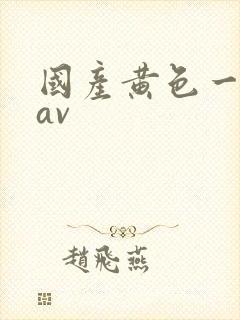 国产黄色一级片av