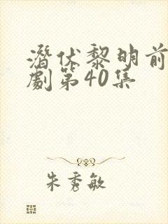 潜伏黎明前电视剧第40集