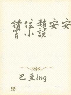 错位赵安安沈凡霄小说