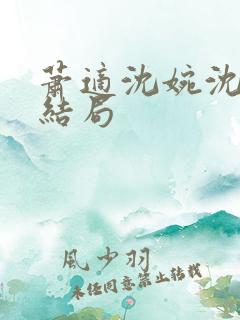 萧适沈婉沈姝大结局