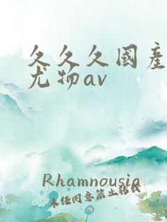 久久久国产精品尤物av