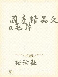国产精品久久久a毛片