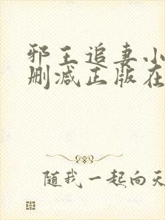 邪王追妻小说无删减正版在线阅读