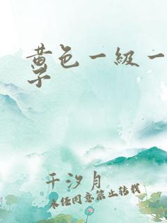 黄色一级一级片子