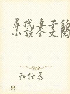 寻找妻子的秘密小说全文阅读