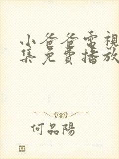 小爸爸电视剧全集免费播放