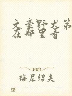 文豪野犬第四季在哪里看