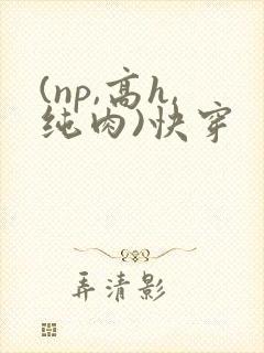 (np,高h,纯肉)快穿