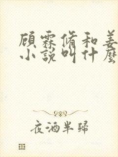 顾霖修和姜妍的小说叫什么名字