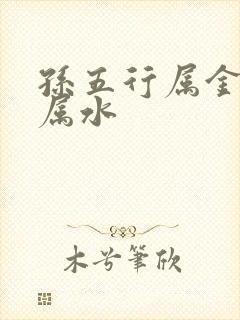 孙五行属金还是属水