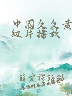 中国久久黄色一级片播放