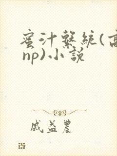 蜜汁系统(高h np)小说