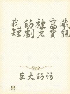 我的被窝藏女神短剧免费观看