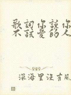 歌词你说你爱了不该爱的人