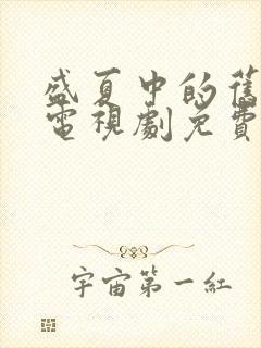 盛夏中的旧时光电视剧免费观看