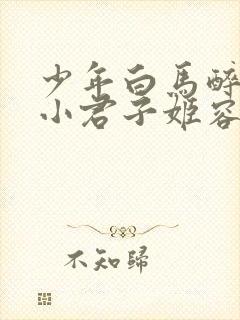 少年白马醉春风小君子姬容