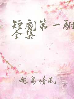 短剧第一驸马爷全集