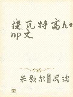 提瓦特高h啪肉np文