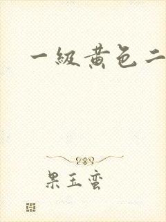 一级黄色二级片