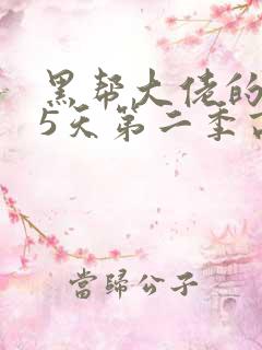 黑帮大佬的365天第二季高清免费