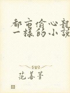 都市偷心龙爪手一样的小说