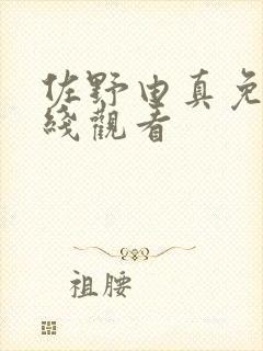 佐野由真免费在线观看