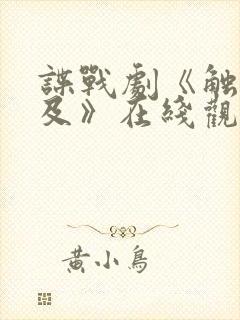 谍战剧《触不可及》在线观看