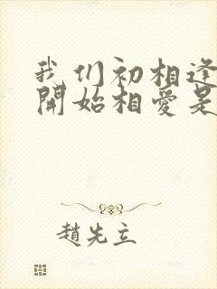 我们初相逢我们开始相爱是什么歌