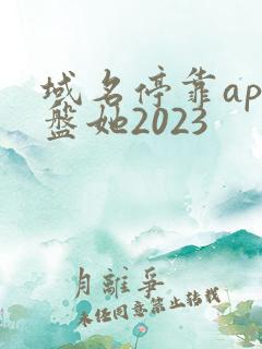 域名停靠app盘她2023