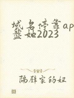 域名停靠app盘她2023