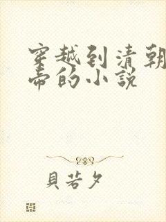 穿越到清朝当皇帝的小说