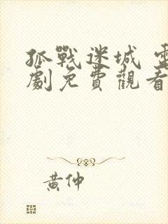 孤战迷城 电视剧免费观看